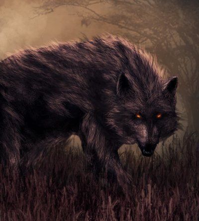 Status: Living | Shadow is Handler's Danger Beast and companion. | Dire Wolf Art, Pathfinder Rpg Characters, Werewolf Art, Dire Wolf, Gothic Fantasy Art, Monster Cards, Wolf Love, Wolf Pictures, Dnd Art