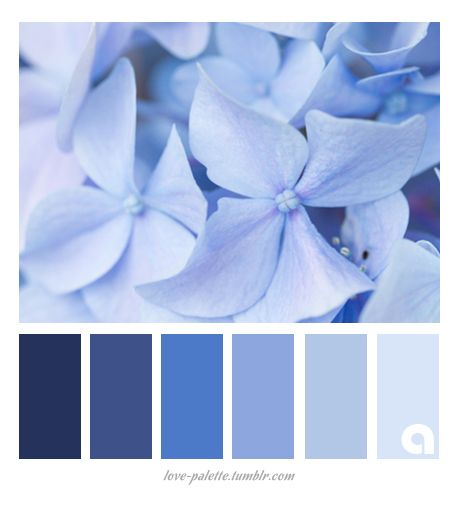 Serenity, PANTONE Color of the Year 2016                              … Pantone Serenity, Serenity Color, Wedding Color Schemes Blue, Serenity Blue, Blue Wedding Inspiration, Blue Color Schemes, Color Palette Design, Color Of The Year, Color Pallets