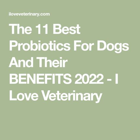 The 11 Best Probiotics For Dogs And Their BENEFITS 2022 - I Love Veterinary Dog Probiotics, Best Probiotics, Best Dry Dog Food, Probiotics For Dogs, Best Probiotic, Lactobacillus Acidophilus, Probiotic Foods, Sensitive Stomach, Beneficial Bacteria