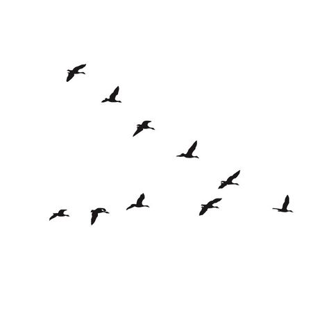 Flock of Geese - Dana Decals - 1 Goose Tattoo, Geese Flying, V Tattoo, Fly Drawing, Bird Tattoos, Silhouette Tattoos, Birds In The Sky, Wood Art Projects, Animal Wall Decals