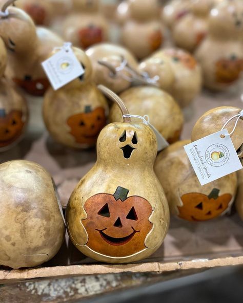 Meadowbrooke Gourds on Instagram: “Spooky Boo is one of our favorite fall designs! . . . #mbgourds #gourds #meadowbrookegourds #fall #falldecor #homedecor #halloween…” Gourd Decorating Ideas, Chicken Gourds, Fall Gourds, Halloween Gourds, Gourd Ideas, Halloween Wood Crafts, Fall Designs, Autumn Ideas, Halloween Ii