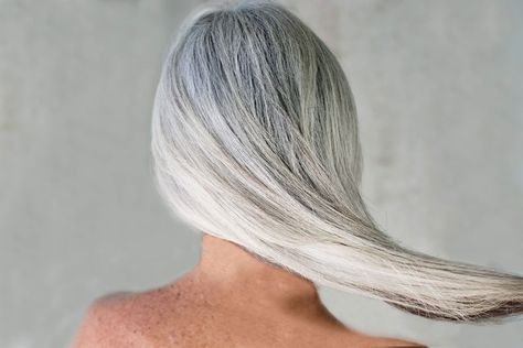 Inflammation can turn your hair grey | Cosmos What Causes Gray Hair, Grey Hair Care, Grey Hair Looks, Grey Hair Coverage, Covering Gray Hair, Aging Hair, Gray Hair Growing Out, Transition To Gray Hair, Long Gray Hair