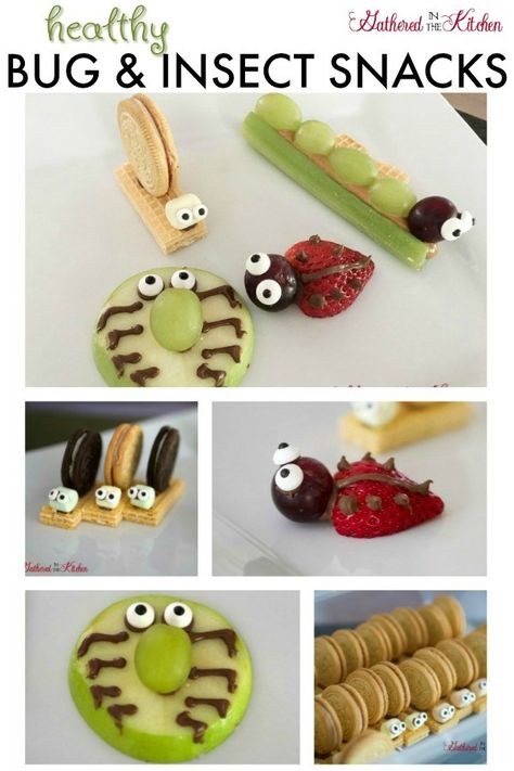 Healthy Bug & Insect Snacks #preschoolnacks #bugtreats #fruitsnacks #schoollunch #bugsnacks #insectsnacks #bugsnacksfortoddlers #bugsnacksforkids #healthysnacksforkids Insect Snacks, Ladybug Snacks, Snacks For School Lunches, Edible Bugs, Bug Snacks, Spring Snacks, Insects Preschool, Bug Party, Foodie Friday