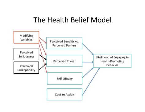 Nursing Concepts, Health Belief Model, Praxis Study, Health Economics, Model Template, Self Efficacy, Physical Environment, Behavior Change, Education Design