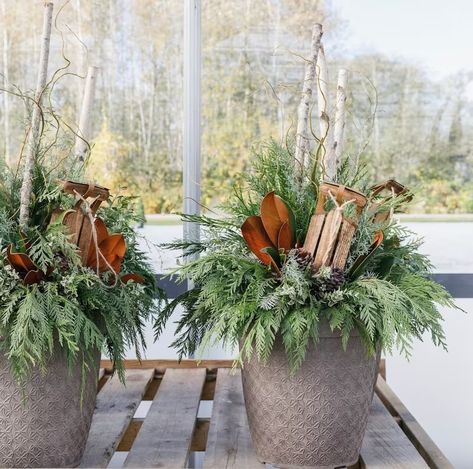 Outdoor Christmas Pots, Evergreen Pots, Evergreen Arrangements, Evergreen Planters, Winter Deck, Plants With Flowers, Winter Pots, Christmas In Florida, Christmas Porches