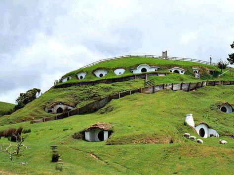 A Real-Life Hobbit Town in Matamata, New Zealand Hobbit Town, Earth Sheltered Homes, Casa Hobbit, Earth Sheltered, Movie Locations, Hobbit House, Bora Bora, Filming Locations, Machu Picchu