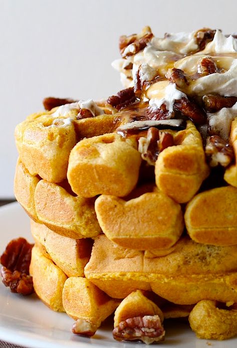 Whole Pumpkin, Spiced Whipped Cream, Belgian Waffles Recipe, Brunch Foods, Waffle Iron Recipes, Belgium Waffles, Halloween Breakfast, Iron Recipes, Pumpkin Cinnamon Rolls