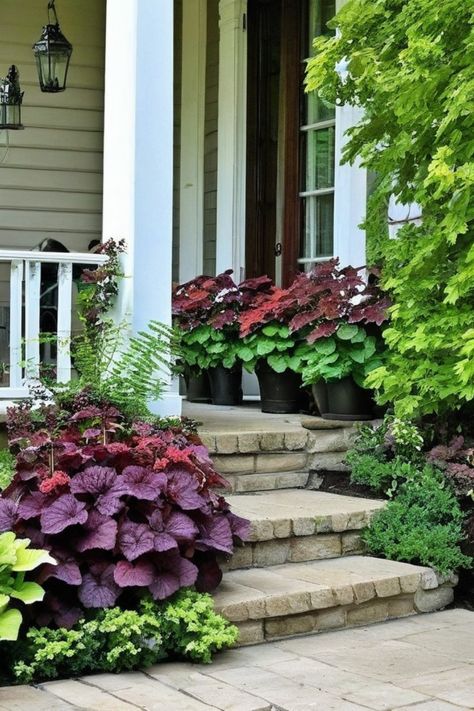 Discover the perfect plants for a shady porch with these best shade plants for the front of your house. From low maintenance shrubs to shade-loving perennials, you'll find a variety of options to create a beautiful front yard or add life to your covered patio space. Whether you're looking for container gardening flowers or low growing shrubs, there's something here for every shaded area. Landscaping Shaded Front Yard, Shrubs In Front Of House Shade, Front Porch Shade Plants, Shade Garden Front Of House, Low Maintenance Shrubs Front Yards, Shade Landscaping Front Yard, Evergreen Shrubs For Shade, Plants For Front Of House, Best Shade Plants