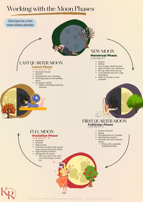 an image of the moon phases and their benefits—new moon, first quarter moon, full moon, and last quarter moon. Menstrual Phases Explained, Period On New Moon, Moon And Menstrual Cycle, Last Quarter Moon Magic, Moon Syncing, Feminine Cycle, Menstrual Phases, Womb Health, Cycle Health