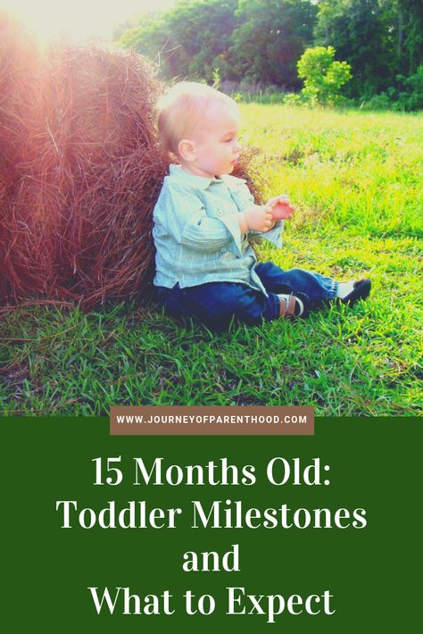 Monthly Development Milestones for a Toddler at 15 Months Old. Child Development Milestones to Look For in the Second Year of Life. #toddler #milestones #childmilestones #childdeveopment #development #whattoexpect #oneyearold #15monthold 15 Month Milestones, 15 Month Old Milestones, Milestones Quotes, How Much Formula, Toddler Milestones, Development Milestones, Toddler Class, Baby Sleep Schedule, Newborn Hacks