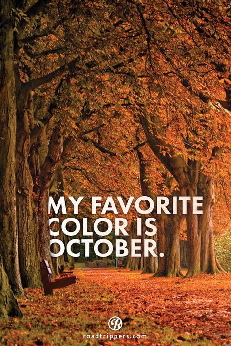 My favorite color is October :) My Favorite Color Is October, Fall Camping, Camping Guide, Autumn Quotes, My Favorite Color, Autumn Harvest, Happy Fall Y'all, Harvest Moon, Seasons Of The Year