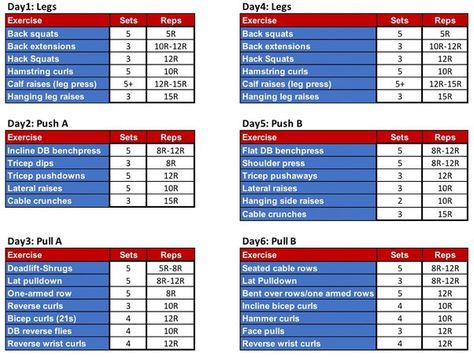 Split Workout Routine, Tricep Pushdown, Push Pull Legs, Hanging Leg Raises, Hamstring Curls, Tricep Dips, Back Squats, Calf Raises, Weight Training Workouts