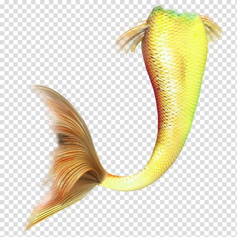 Yellow Mermaid Tail, Mermaid Brush, Yellow Mermaid, Mermaid Stuff, Mermaid Tale, Mermaids And Mermen, Blue Baby Shower, Mermaid Art, Mermaid Tail