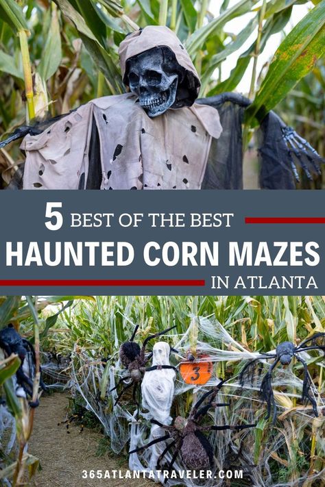 Children of the Corn, anyone? If you're ready to be scared in the middle of a corn field (minus the creepy kids...hopefully) then a haunted corn maze is for you! Georgia has several haunted corn mazes that will chill your blood, as well as a few that rely more on simple darkness for a less-scary spook. Here are 5 of the best haunted corn mazes in Georgia, plus a few corn mazes that simply require flashlights. Haunted Corn Maze, Corn Maize, Halloween Maze, Atlanta Travel, Children Of The Corn, Georgia Vacation, Romantic Date Night Ideas, Creepy Kids, Corn Field