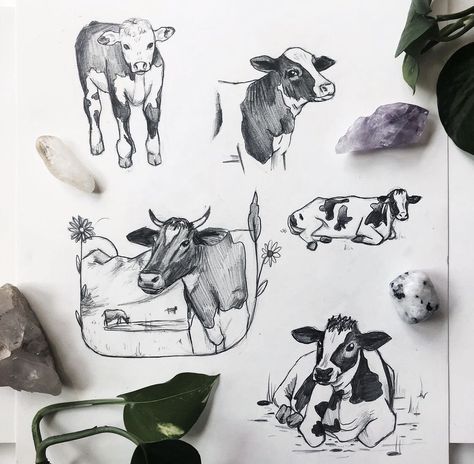 Realistic Cow Tattoo, Cow Sitting Down Tattoo, Cow Line Art Tattoo, Black And White Cow Tattoo, Black Angus Cow Tattoo, Farm Tattoo, Tattoos Aesthetic, Cow Tattoo, Animals Tattoo