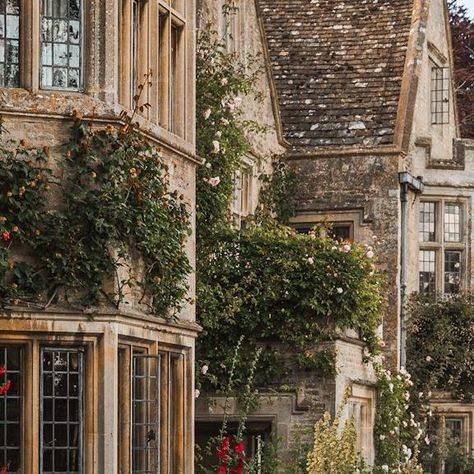 James Lloyd Cole on Instagram: "Once a year, you can visit the legendary Asthall manor garden, in #Oxfordshire. It’s not to be missed! 🌸" James Lloyd, Lloyd Cole, Manor Garden, August 28, A Year, England, Canning, On Instagram, Instagram