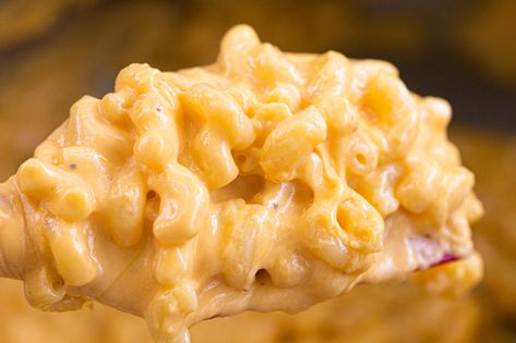 Trader Joe’s Langostino Mac and Cheese Recipe – FOOD is Four Letter Word Langostino Mac And Cheese Recipe, Italian Truffles, Pub Cheese, Truffle Cheese, Seafood Mac And Cheese, Truffle Mac And Cheese, Lobster Mac And Cheese, Mac Cheese Recipes, Crumb Topping