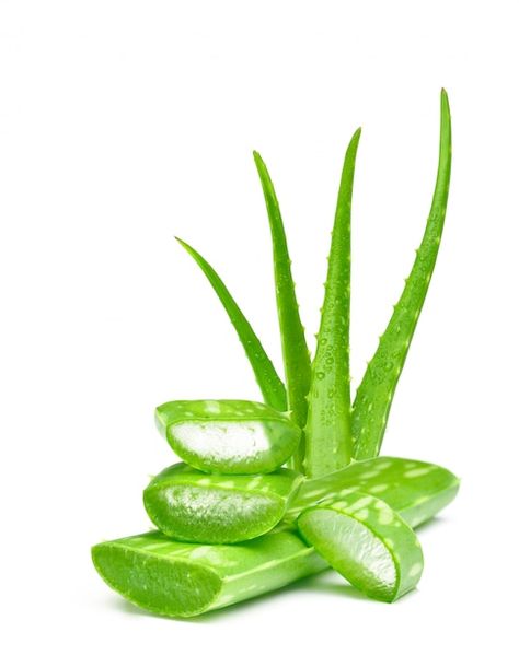 Aloe Vera Image, Aloe Vera Face Wash, Aloe Barbadensis Miller, Soft Shiny Hair, Forever Living Aloe Vera, Aloe Vera For Skin, Cleanser For Sensitive Skin, Fresh Aloe Vera, Cosmetica Natural