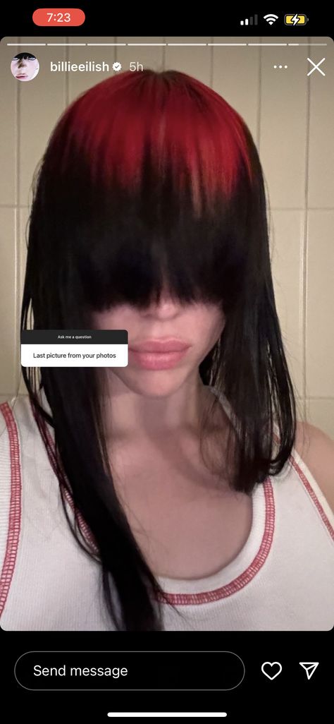 The Album, Billie Eilish, Red And Black, Black Hair, Instagram Profile, Red, Hair, On Instagram, Instagram