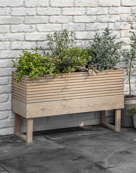 Pine Garden, Trough Planter, Garden Kneeler, Trough Planters, Inspired Furniture, Raised Planter, British Countryside, Small Outdoor Spaces, Small Planter