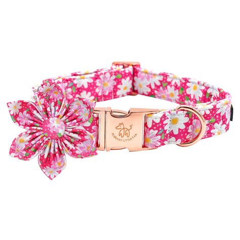 Elegant little tail Dog Collar with Flower, Dog Collar Flowers Pink Floral Girl Dog Collar Pet Gift Adjustable Dog Collar for Medium Dogs (As an Amazon Associate I earn from qualifying purchases) Dog Collar Flowers, Flower Dog Collar, Flower Dog, Girl Dog Collars, Dog Flower Collar, Casa Exterior, Girl Dog, Spring Theme, Dog Flower