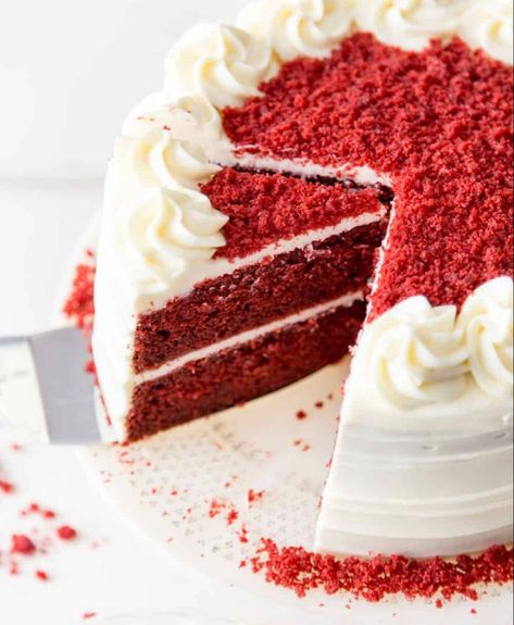 Red Velvet Cheesecake Cake, Red Velvet Birthday Cake, Red Velvet Recipes, Red Velvet Cake Recipe, Velvet Cake Recipes, The Cheesecake Factory, Red Velvet Cake Mix, Red Cake, Cake Cover