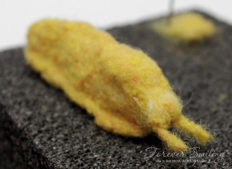 Felted Dolls, Felting Tutorial, Felting Needles, Needle Felting Tutorial, Needle Felting Tutorials, Felting Tutorials, Red Bird, Needle Felt, Slug