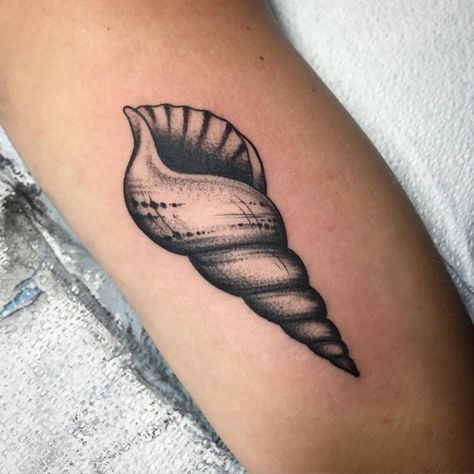 Shell Reference, Shell Tattoo, Seashell Tattoos, Shell Tattoos, Ancient Tattoo, Ocean Tattoos, Piercing Studio, Classic Tattoo, Desenho Tattoo