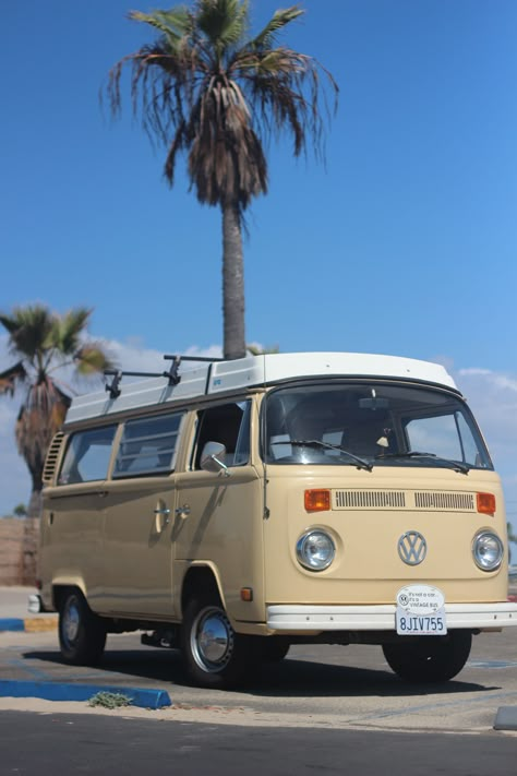 1969 Volkswagen Bus, Surfer Van, Vw Bus Photo, Vintage Volkswagen Bus, Silly Cars, Kombi Van, Volkswagen Vans, Volkswagen Type 2, Image Moto