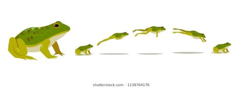 Frog jumping animation sequence. Vector illustration. Frog Leaping Drawing, Leaping Frog Drawing, Frog Jumping Animation, Frog Jumping Illustration, Frog Jumping Drawing, Jumping Animation, Frog Animation, Frogs Jumping, Animation Sequence