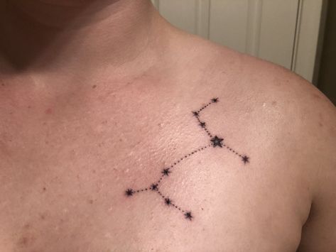 Canis Major/Sirius Tattoo (Or my rather subtle Harry Potter tattoo...) Canis Major Sirius, Canis Major Aesthetic, Harry Potter Tattoos Aesthetic, Casseopia Tattoo, Canis Major Constellation Tattoo, Sirius Constellation Tattoo, Wolfstar Tattoo Ideas, Sirius Star Tattoo, Canis Major Tattoo