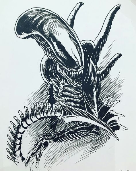 Alien Tattoo Xenomorph, Xenomorph Tattoo, Predator Tattoo, Giger Alien, Predator Alien Art, Alien 1979, Alien Artwork, Alien Drawings, Alien Tattoo