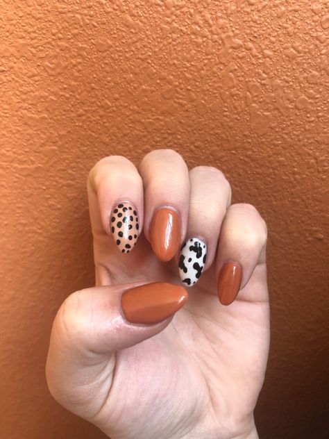 Long acrylic nail manicure. Western style nails with a deep orange color, cow print, and cheetah print. Fall Cow Nails, Fall Cow Print Nails, Farm Nails Designs, Cow Print Nail Ideas, Cute Cow Print Nails, Easy Diy Nail Designs, Animals Nail Art, Cheetah Print Nails, 2023 Nail