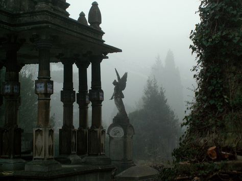 Arnos Vale Cemetery Dark Academia Playlist, Old Cemetery, Old Cemeteries, Dark Paradise, Gothic Aesthetic, The Fog, Six Feet Under, Gothic Architecture, Pretty Places