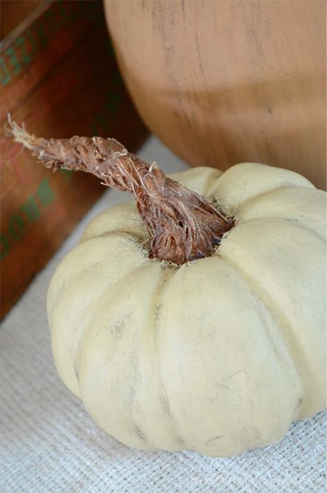 DIY Pumpkins with Realistic Looking Stems | ANDERSON+GRANT Paint Pumpkin, September Days, Pumpkin Stems, Pumpkin Mold, Diy Pumpkins, Diy Pumpkin Spice, Prim Crafts, Acorn Decorations, Fake Pumpkins