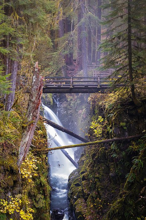 Sol Duc Falls, Olympic National Park Dead Sea Jordan, Cliff Edge, Olympic National Park, Weird Pictures, Dead Sea, Nature Reserve, Large Picture, Beautiful Photography, Pacific Northwest