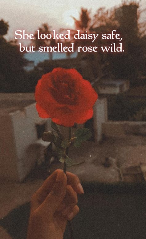 Wild Rose Aesthetic, Wild Quotes, Rose Quotes, Rose Aesthetic, Aesthetic Roses, Rosé Aesthetic, Quotes Aesthetic, Wild Rose, Wild Roses