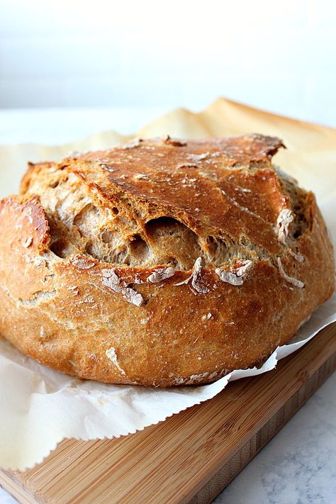 No Knead Whole Wheat Bread Recipe, Sour Cream Bread, Wheat Flour Recipes, Crusty Bread Recipe, Cream Bread, Jenny Jones, Wheat Bread Recipe, Healthy Bread Recipes, Knead Bread Recipe