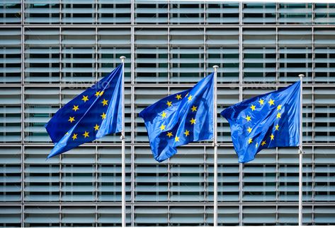 EU flags in front of European Commission by f9photos. European EU flags in front of the Berlaymont building, headquarters of the European commission in Brussels #Sponsored #European, #Commission, #front, #EU Driver Job, European Commission, Tax Advisor, Business Invitation, Recruitment Services, Job Placement, Belarus, Eu Flag, Brussels