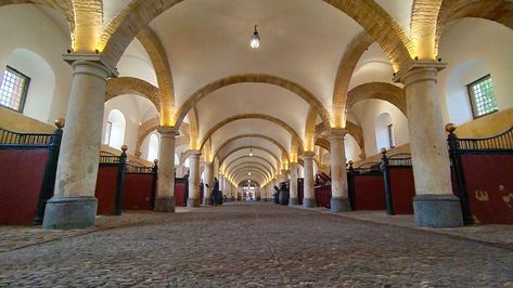 Royal Stables - Tourism Siente Córdoba ® Royal Stables, Iberian Horse, Royal Horse, Equestrian Events, The Stables, Andalusian Horse, Riding Lessons, Historical Monuments, Horse Stables