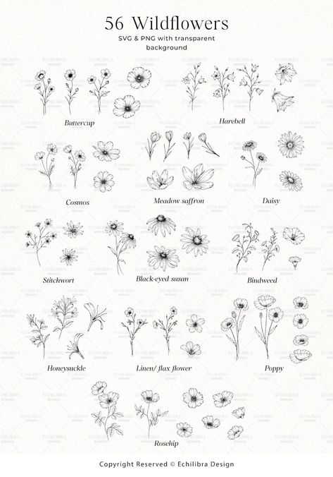 Wildflowers Line Art Botanical Hand Drawn Line Art Floral - Etsy Floral Hand Lettering, Wildflowers Line Art, Wild Flower Line Art, Wildflower Wood Burning, Wild Flower Sketches Simple, How To Draw Wild Flowers, Wildflower Logo Design, Vertical Flower Tattoo, Wild Flower Drawing Simple