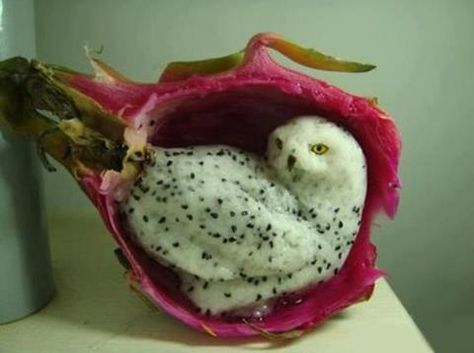 Predjela Dekoracija, Fruit Picture, Food Carving, Fruit Carving, Snowy Owl, 웃긴 사진, Fruit Art, A Dragon, Dragon Fruit