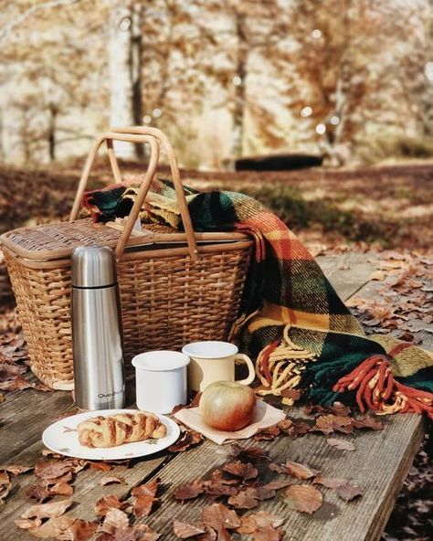 Fall Picnic Photoshoot Friends, Fall Themed Picnic, Autumn Picnic Ideas, Autumn Picnic Aesthetic, Fall Picnic Food Ideas, Fall Picnic Photoshoot, Fall Picnic Aesthetic, Fall Picnic Ideas, Fall Picnics