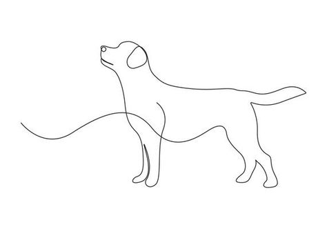 Dog drawing vector using continuous single one line art style isolated on white background. 6637744 Vector Art at Vecteezy Toller Dog, One Continuous Line Drawing, Drawing Pro, Line Art Style, One Line Art, Drawing Vector, Continuous Line Drawing, Continuous Line, Logo Banners