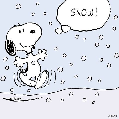 Winter Widgets, Snoopy Winter, Charlie Brown And Friends, Woodstock Snoopy, Brown And Friends, Snoopy And Charlie Brown, Peanut Gang, I Love Snow, Peanuts Cartoon