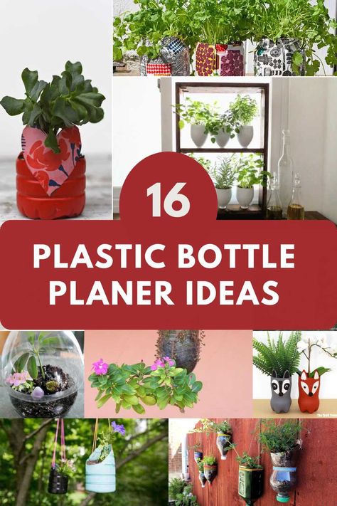 Explore our curated collection of DIY plastic bottle planter ideas. These eco-friendly creations are perfect for adding a touch of green to your space while recycling everyday items in a fun and creative way. Bottle Planter Ideas, Upcycle Plastic Bottles, Garden Ideas With Plastic Bottles, Bottle Planters, Plastic Container Crafts, Recycled Planters, Repurposed Crafts, Plastic Bottle Planter, Upcycled Planter