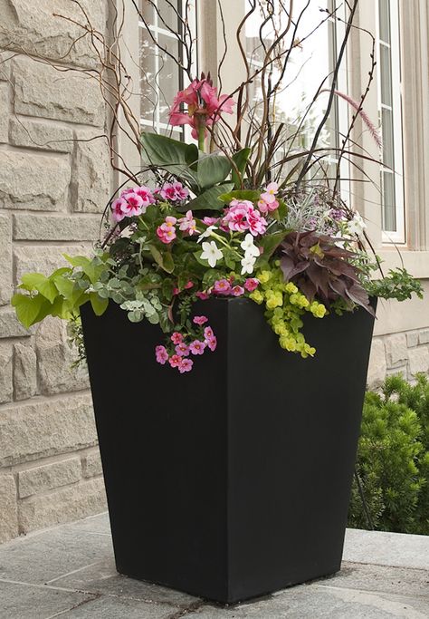 Planter pot for gardeners. Smart variations in color, textures, foliage.  Tall dried twigs for height are a great idea, get a climbing plant to travel up them. Big Planters, Summer Planter, Outdoor Planter Boxes, Spring Planter, Flower Pot Design, Minimalist Garden, Container Gardening Flowers, Flower Pots Outdoor, Garden Shrubs