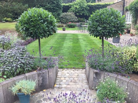 Country garden to a large period country house, Burley Woodhead. — Helen Taylor Landscape and Garden Design Small Herb Gardens, Tree Borders, Bay Tree, Perennial Border, Garden Design Layout, Garden Steps, Country Garden, Garden Borders, Country Gardening