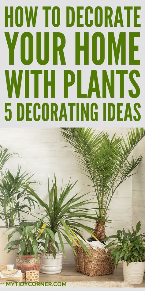 how to decorate with plants indoors How To Group Plants Together, Plants Arrangement Indoor, Decorate Home With Plants, Silk Plants Living Room Home Decor, How To Place Plants In Your Home, Using Plants To Decorate Indoors, Indoor Plant Ideas Decor, Decorating With House Plants Indoor, How To Decorate With Plants Indoors