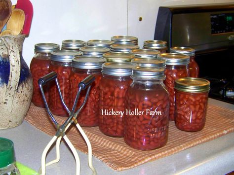 Canning Red Beats, Canning Red Beans, Canning Beans In Tomato Sauce, Canning Dry Beans, Pressure Canning Dried Beans, Canning Beans, Dry Beans, Canned Fruit, Home Canning